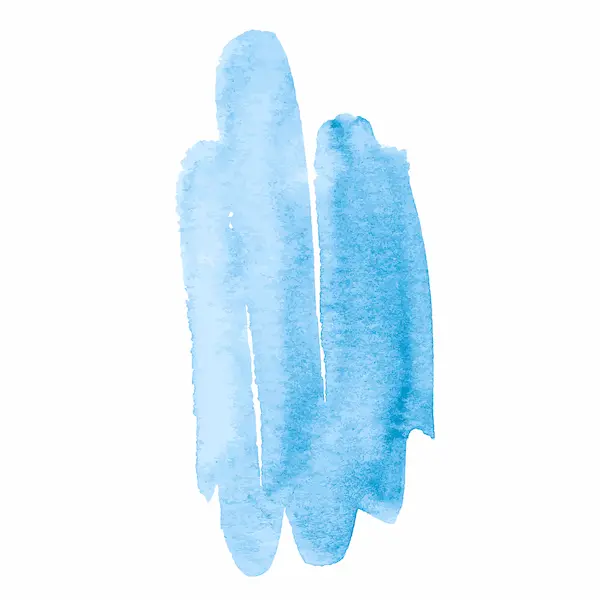 Web design services illustration