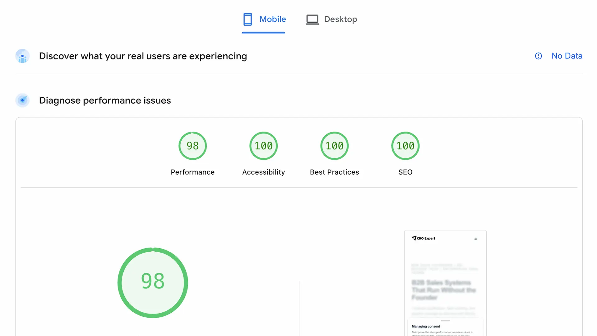 Performance report for CRO Expert website