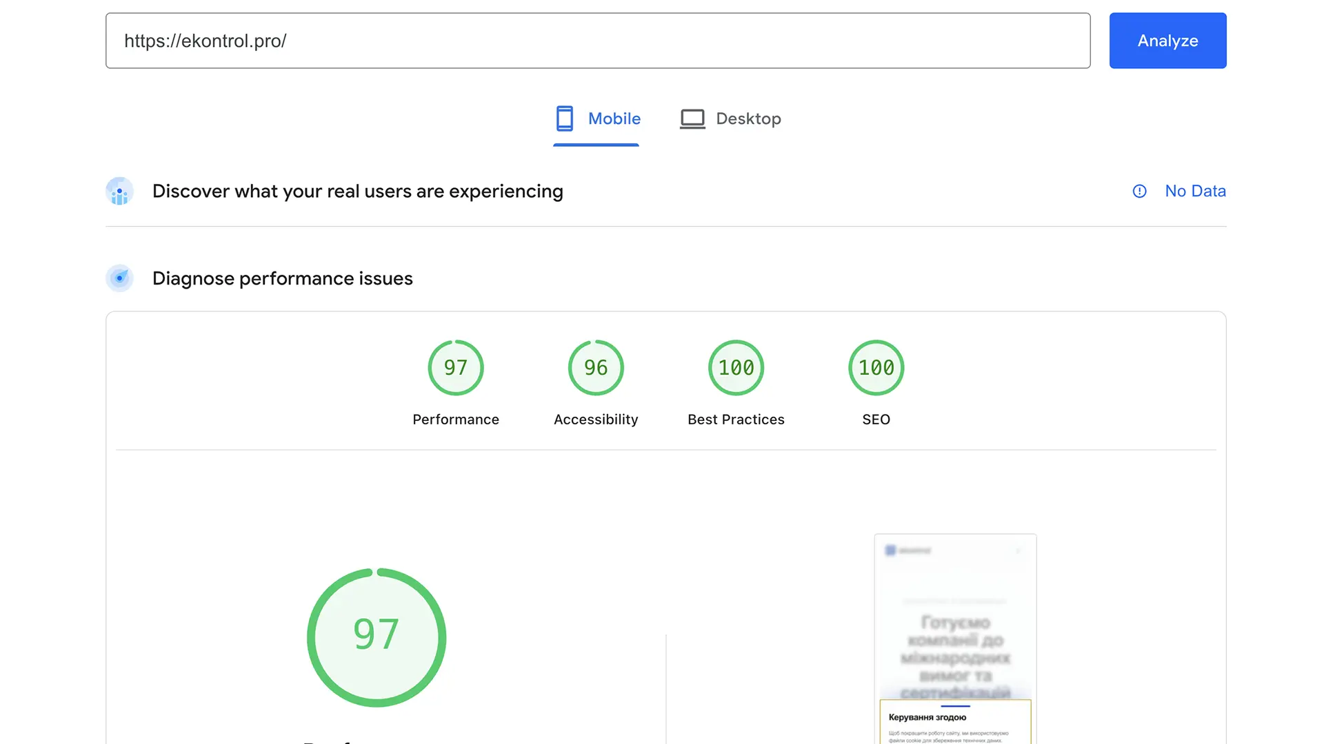 Consulting company website performance report screenshot