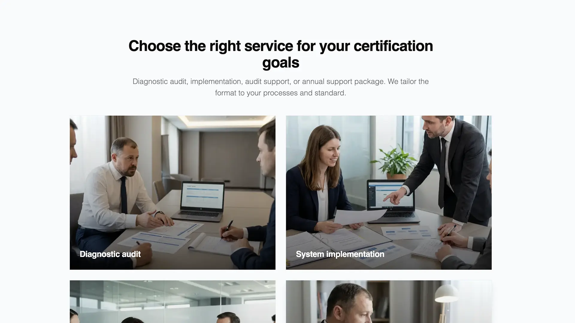 Consulting company service options section